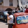 Montevago 2010 (316)